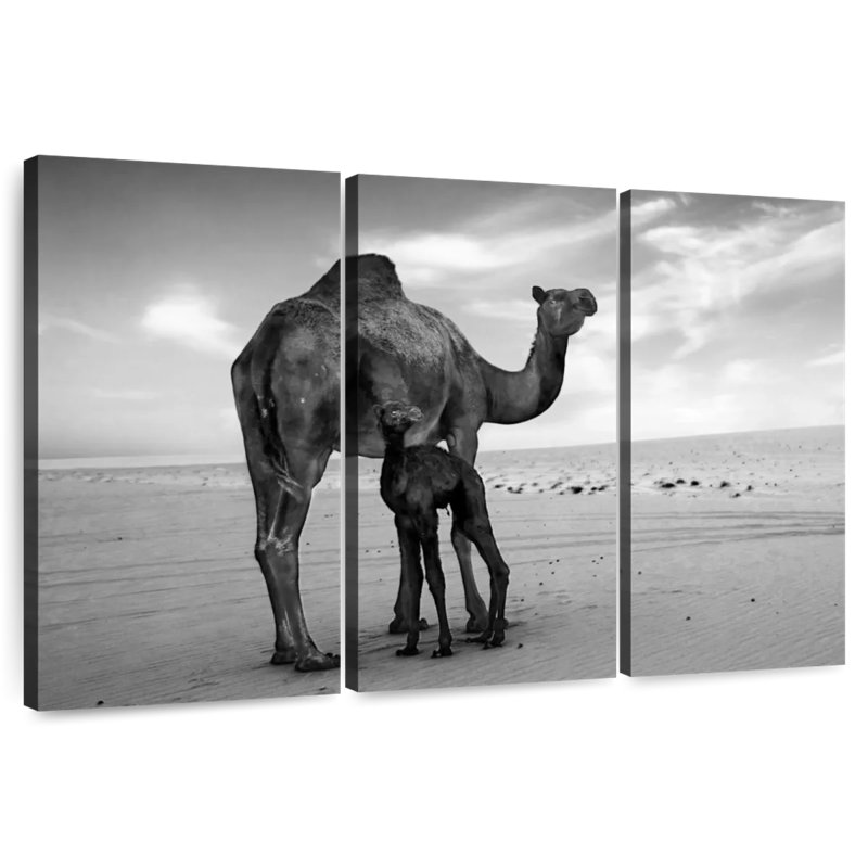 Brampt Monochrome Camels, 32" H x 50" W