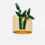 Napkin Ring