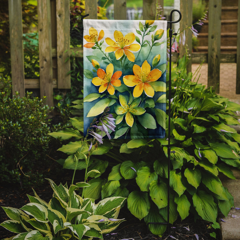 Drapeau d'hypericum ou de millepertuis, L'hypericum ou le millepertuis