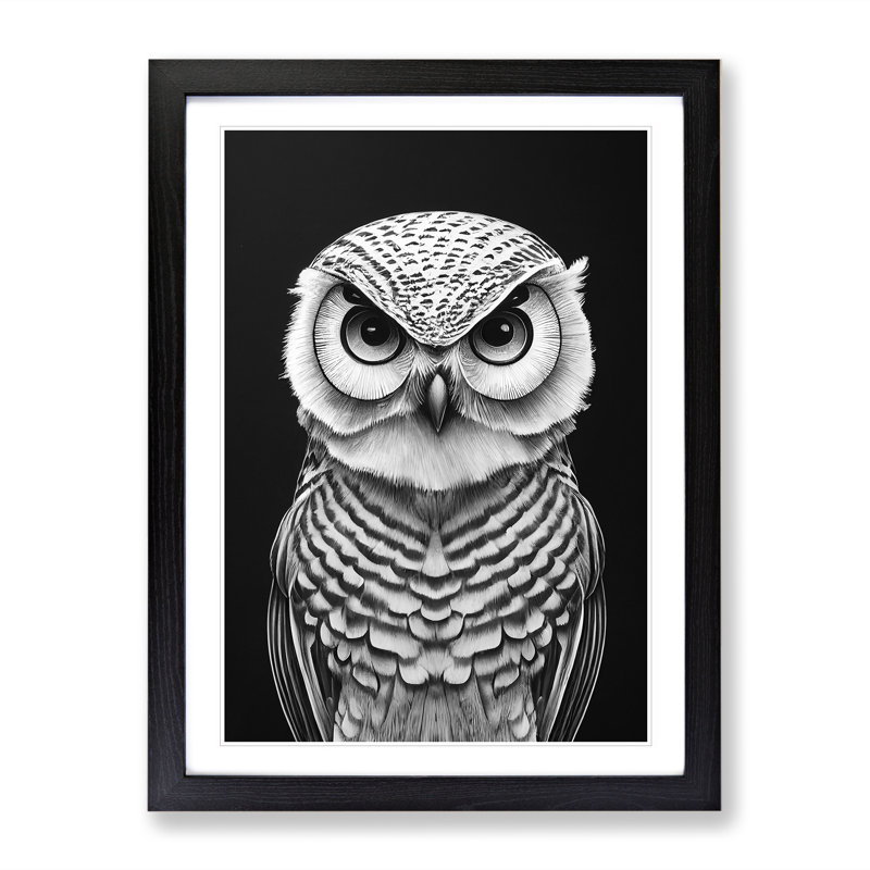 Owl Art Monochrome No.1 - Single Picture Frame Print, 46cm H x 34cm W x 2cm D, Black