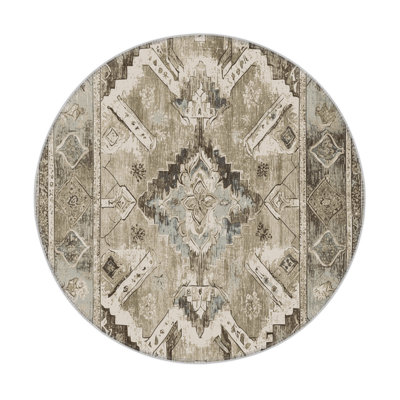 Historic Elegance Indoor And Outdoor Area Rug