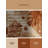 Machine Washable Oyan Monstera Modern & Contemporary Abstract Rug in Brown – LightBrown Binding-683327508