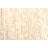 Sienna Cream Rug 5'0" x 8'0"