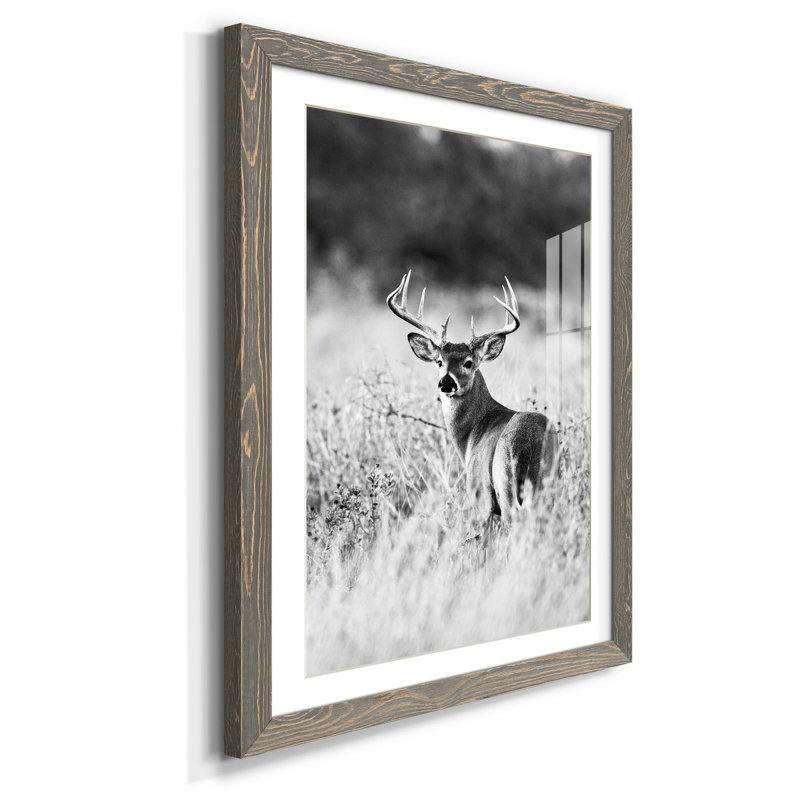 " Grasslands ", Gray Framed Paper, 24" H x 18" W x 1.5" D, White