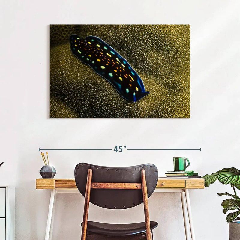Linda's Flatworm, 26" H x 39" W