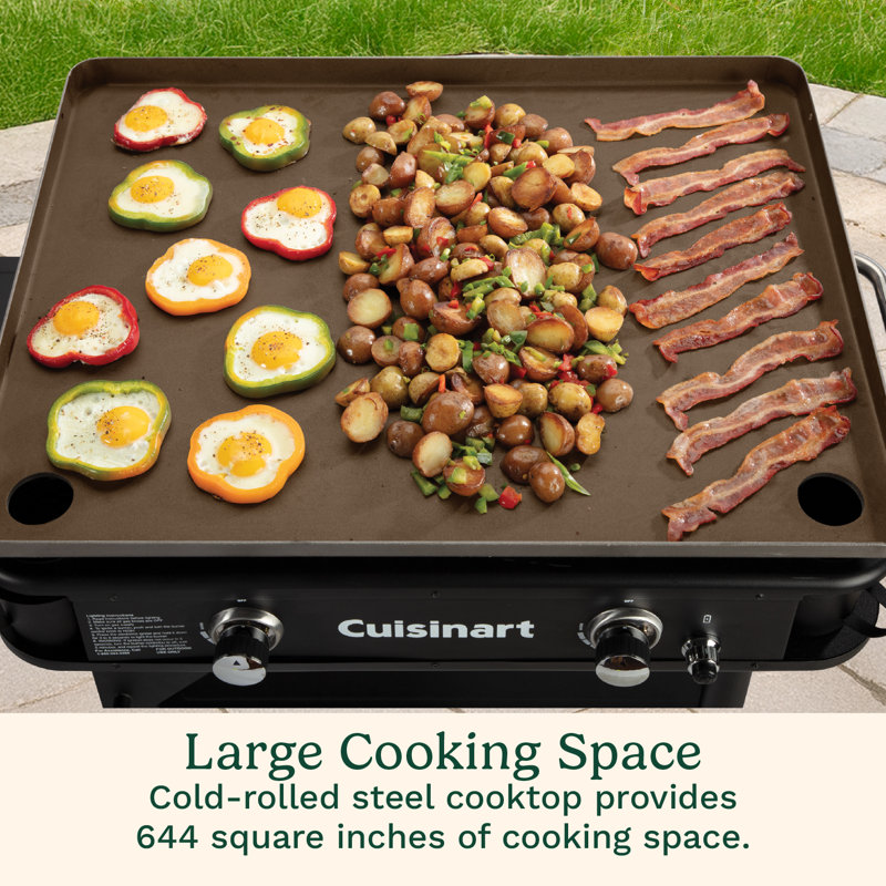 28" Two Burner Gas Griddle And Cover