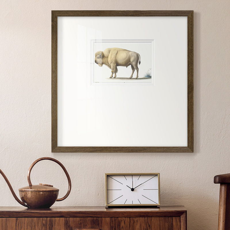 White Buffalo, impression sur papier encadrée, H 17 po x l 17 po x P 1,25 po