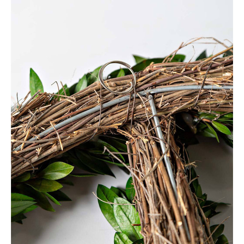 Preserved Green Leaf Peace Sign Wreath, 16" Dia.