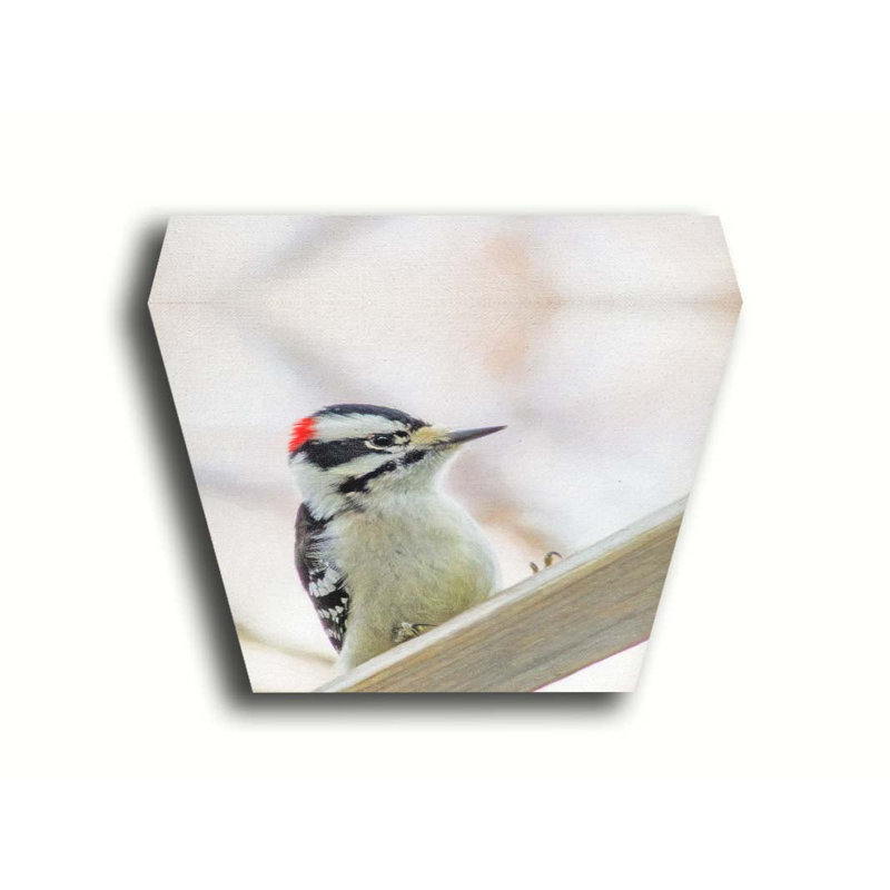 Acorn Woodpecker - Downy Woodpecker par Hal Halli. Estampe numérique, H 30 po x l 40 po, Toile tendue, Ne s’applique pas