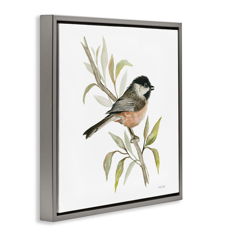 «Sparrow on Branch» par Cindy Jacobs, Cadre flottant gris lustré, H 18 po x l 18 po x P 1,7 po