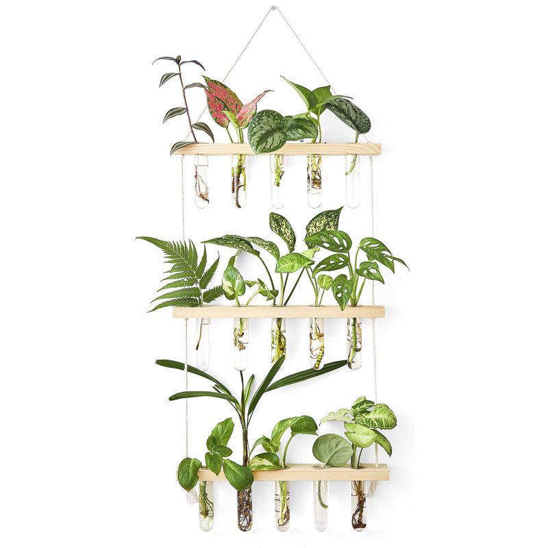 Terrarium mural à 3 niveaux avec support en bois