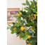 Faux citronnier en pot 47 po