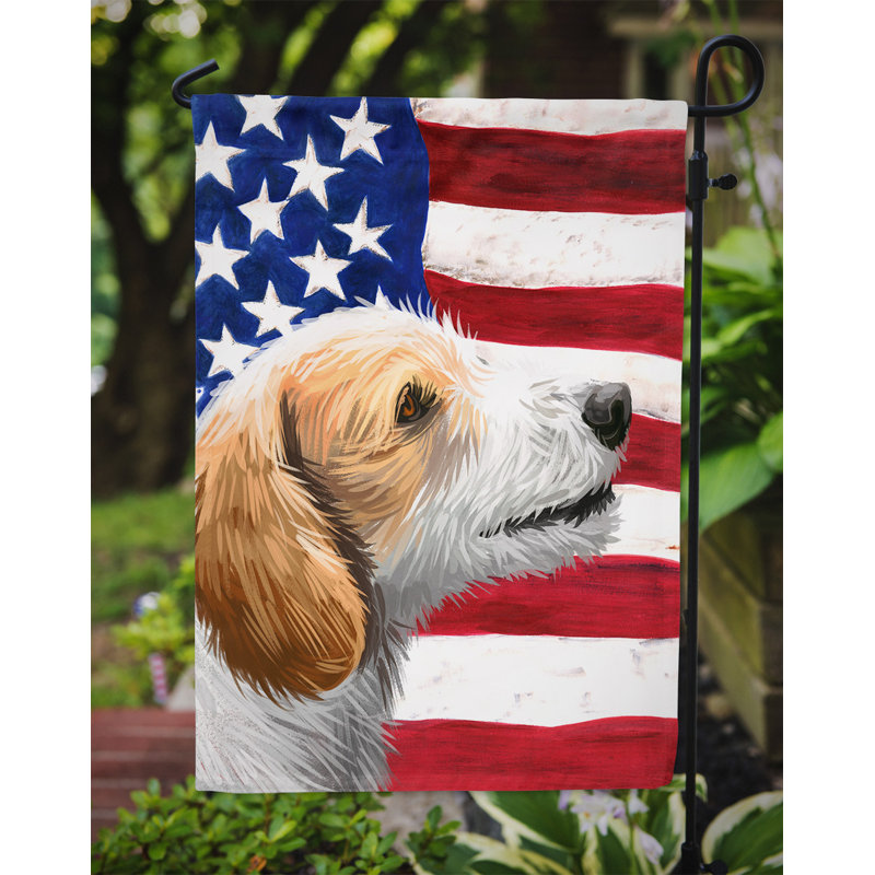 Polyester à 2 côtés 15 x 11 po drapeau de jardin, Chien d'Istrie à poil dur