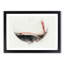 Pouring of the Red Wine in Abstract - Framed Print-55768036-55768037