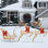The Holiday Aisle® Lighted Reindeer and Sleigh