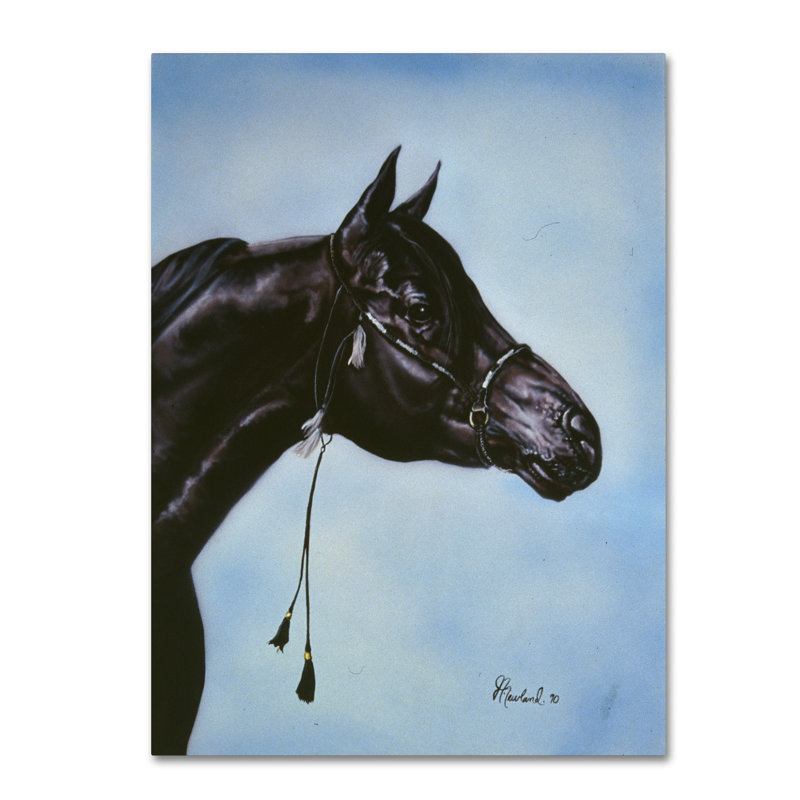 « black arabique », impression sur toile tendue, H 19 po x l 14 po x P 2 po