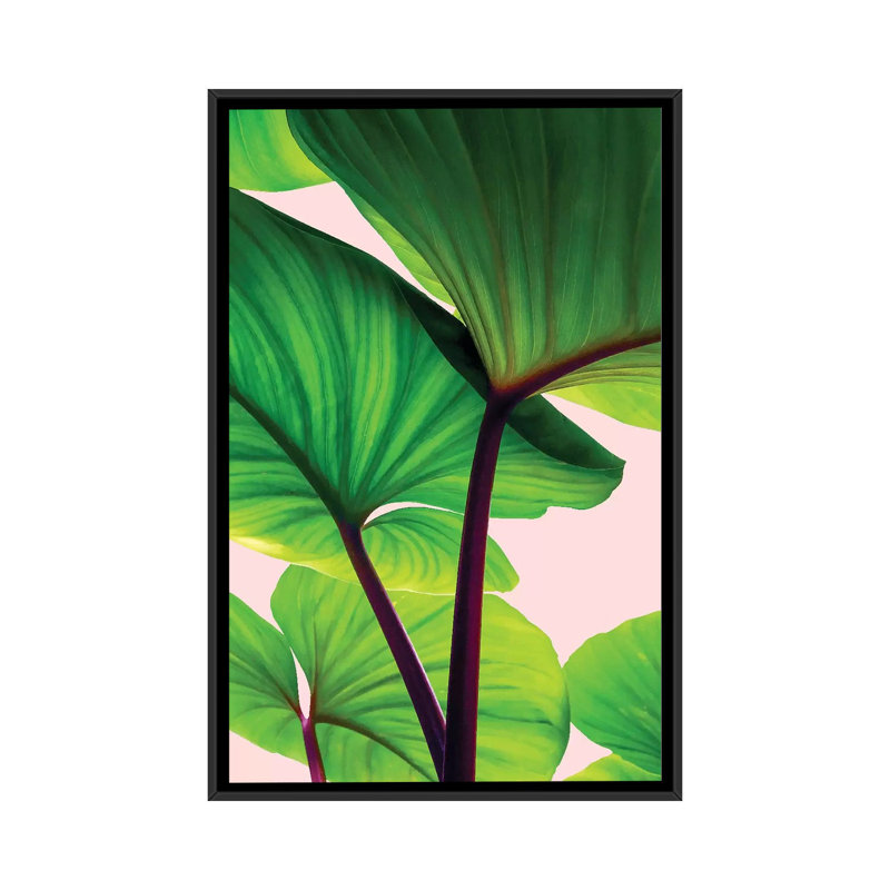 « charmant sequence », reproduction d’impression sur toile, H 26 po x l 18 po x P 1,5 po, Toile avec cadre noir