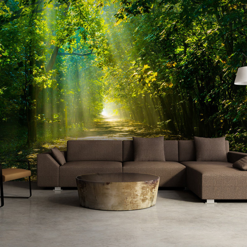 Road in Sunlight Wallpaper, 300 cm x 210 cm