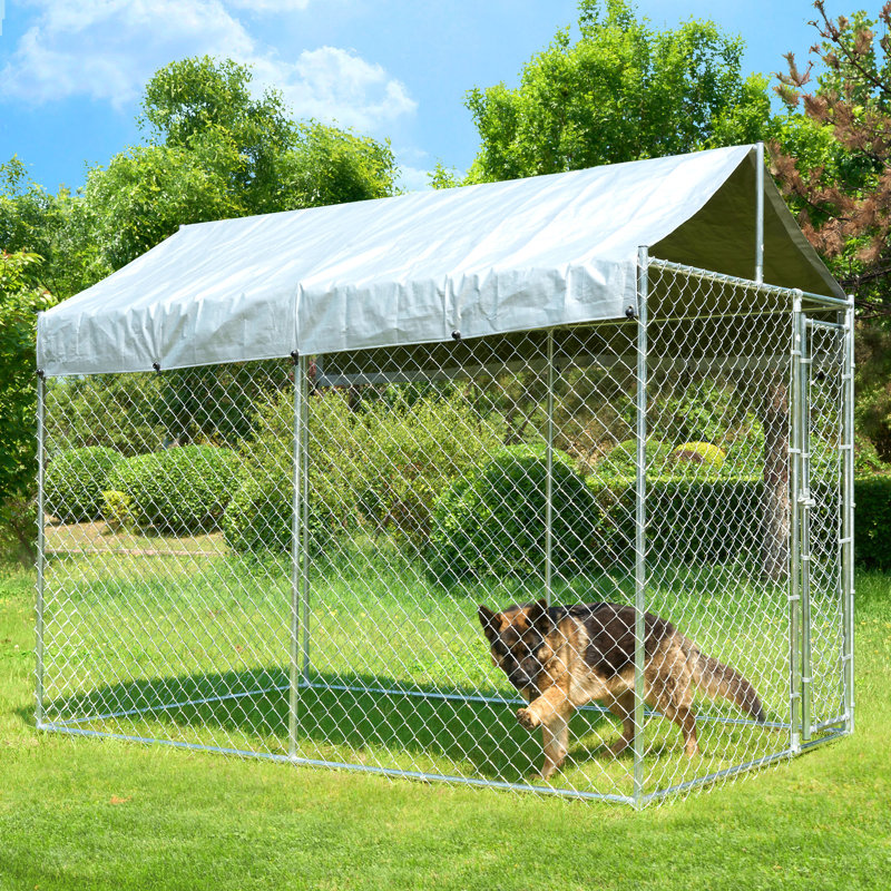 Metal Yard Kennel