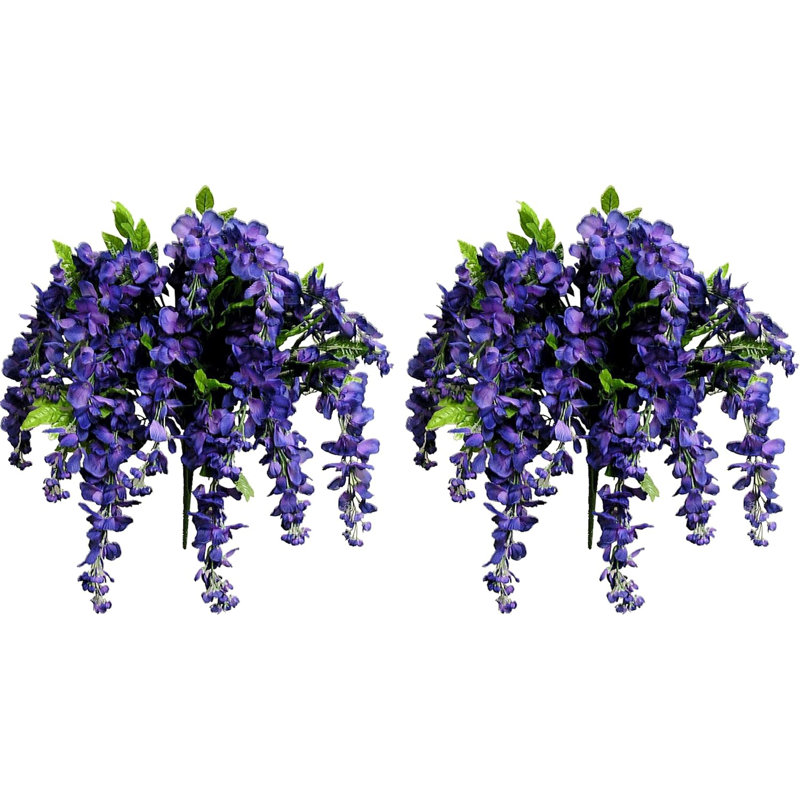 Fleurs et tiges de glycine, Mauve