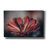 Epic Graffiti 'Elevation Bloom'  by Nathan Larson Canvas Wall Art, 60" x 40"