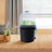 Bonis Hydroponics Growing Organization Kit