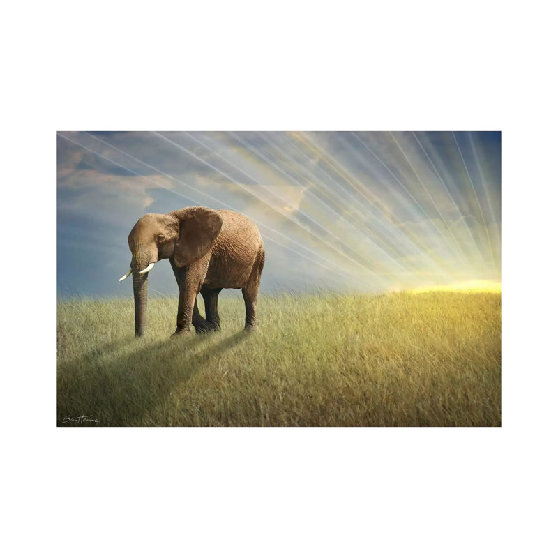 Walk With The Light by Ben Heine - Wrapped Canvas Painting, 20.32cm H x 30.48cm W x 1.905cm D