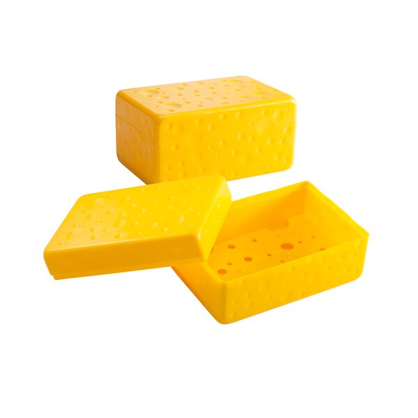 https://assets.wfcdn.com/im/53529999/resize-h600-w600%5Ecompr-r85/3136/31366357/Dearborn+Cheese+Saver+Food+Storage+Container+%28Set+of+2%29.jpg