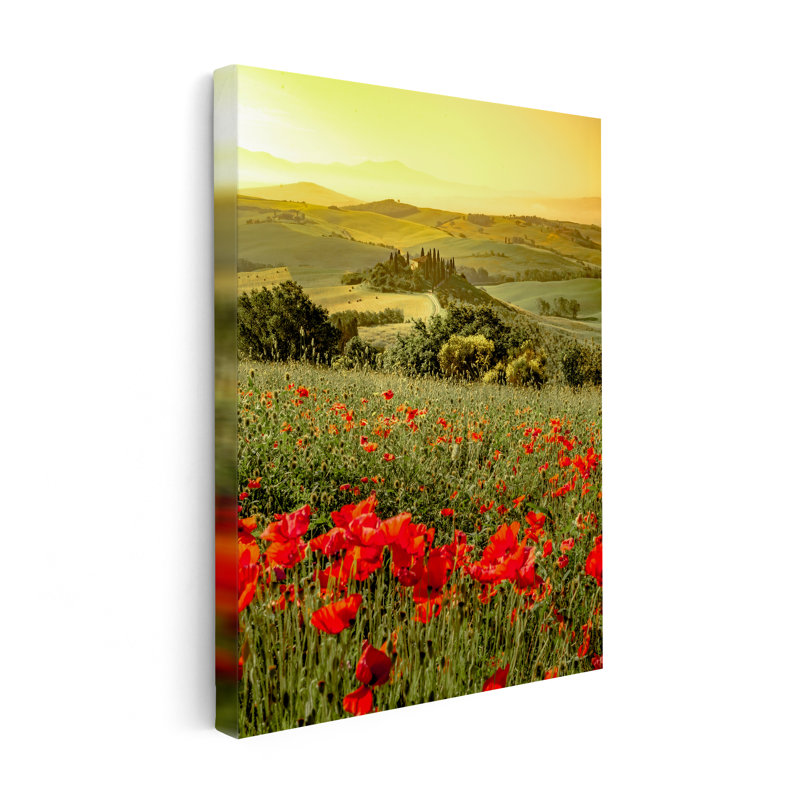 Fleur de coquelicot, Unframed, Canvas, 18"H x 24"W