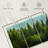 Alvord Lush Green Pine Trees-106052389