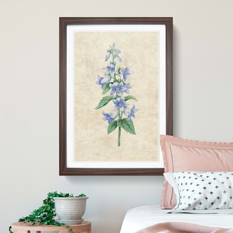 Bellflowers by Pierre-Joseph Redoute - Framed Print, 65cm H x 48cm W x 2cm D, Walnut Framed