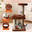 Arbre à chat 15,85 "Daemen-1065182532
