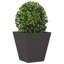 Asua Metal Planter Box-1391832529-1391832535