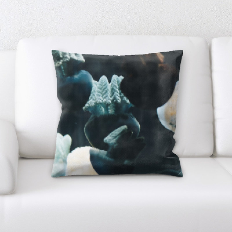 Coussin de gelée sea Alhambra