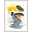 Abstract Print by Christina Kwan-1883242607