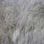 Salvatore Solid Colour Area Rug-629196391
