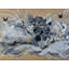Solstice Peony Print by Novi Lim-65805451-65805452