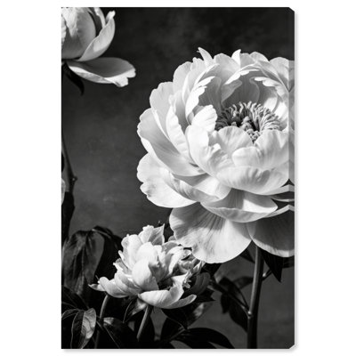 Still Peony Print by Oliver Gal