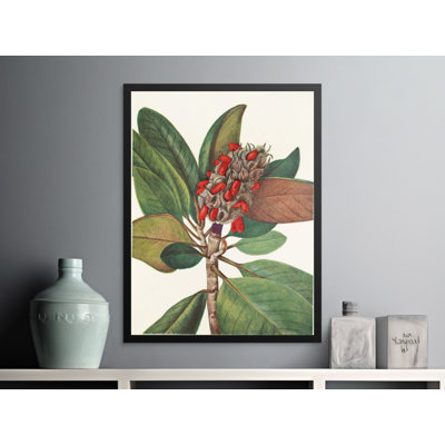 Bellamira Floater Frame Print