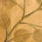 " Tree Branch 3 "-156701837