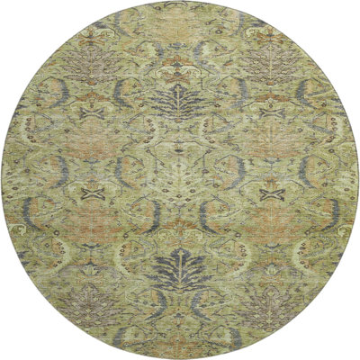 Premium Machine Washable Dahl AMF1082 Damask Rug