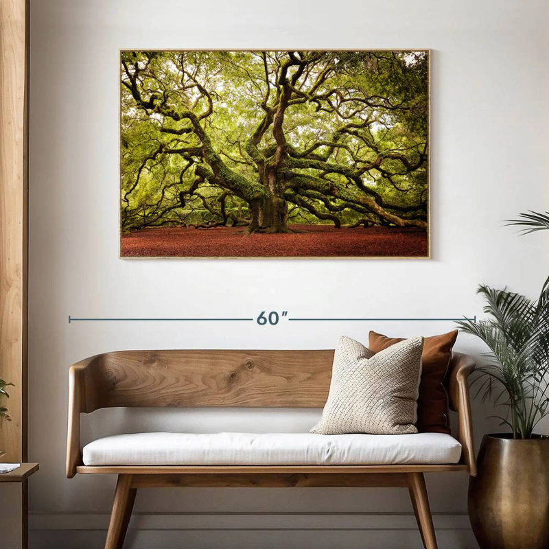 Chêne Charleston Angel, Cadre flottant en bois naturel, 46 po x 31 po