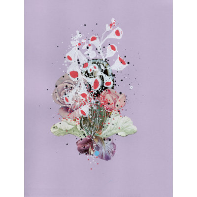 Sea Lace par Jenny Brown