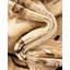 Tapis ivoire / beige Eesi-19393448