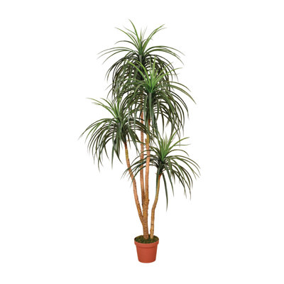 25cm Faux Palm Plant in Pot