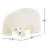 White Curious Polar Bear