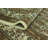 Wishram One-of-a-Kind 7'0" X 10'4" 1980s Wool Area Rug