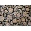 Tapis traditionnel noir 6 x 10