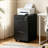2 Drawer Metal Mobile File Cabinet with Lock-306848324