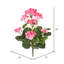 Buisson géranium artificiel Benita 20 po-196705638